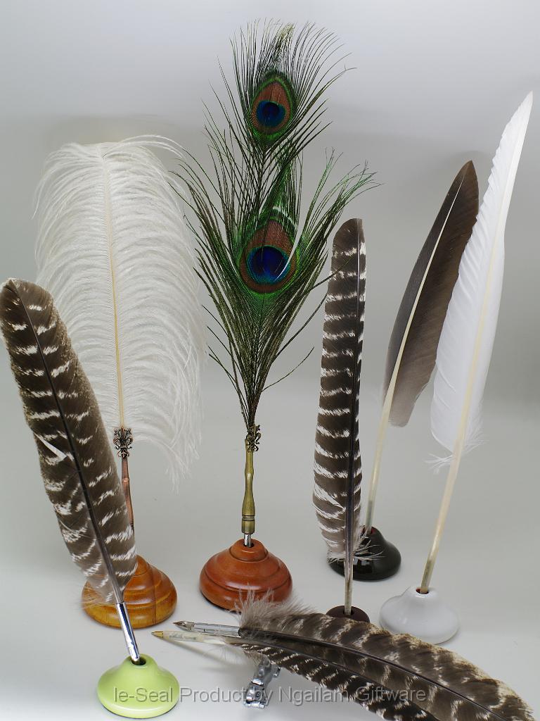 Feather - natural  shapes & colors.jpg